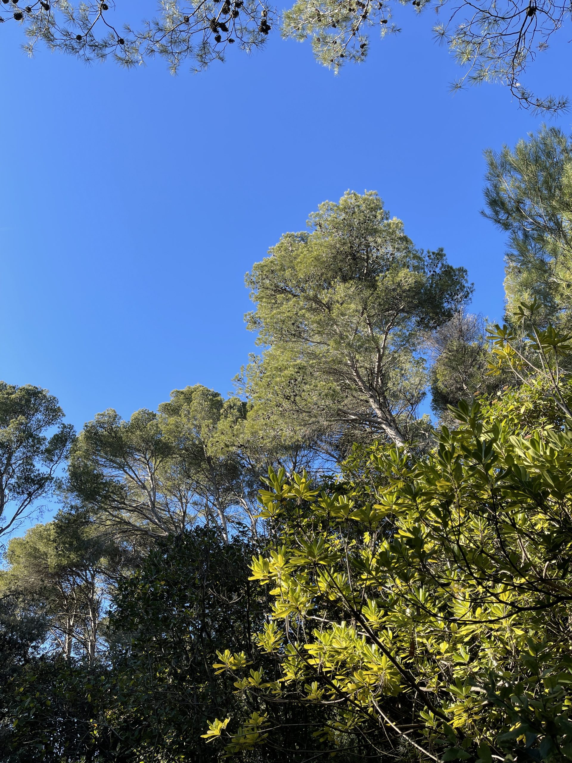 IMG_1186.jpeg